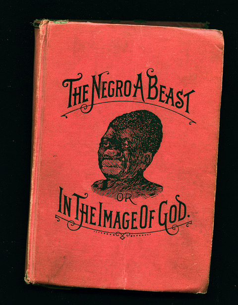 Photo of a book cover A Beast or In The Image of God