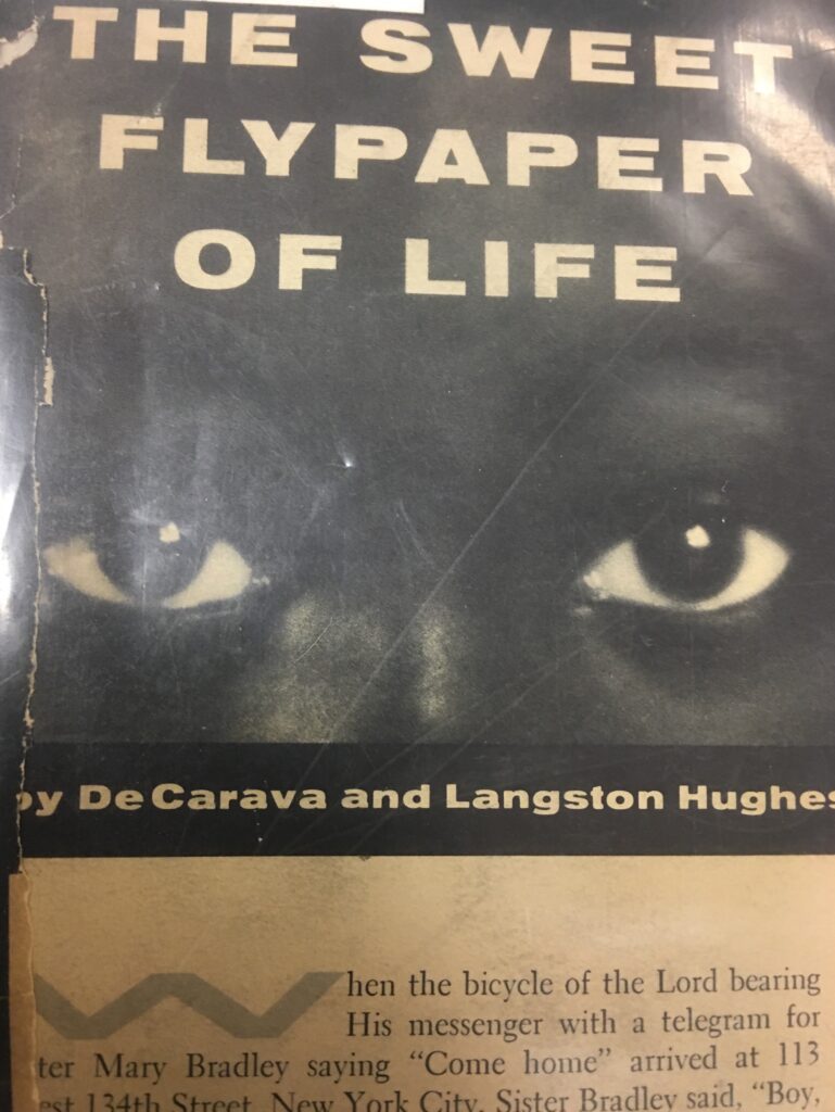 Photo of book The Sweet Flypaper of Life